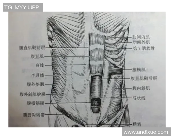 足球明星们的腹肌训练秘笈与健身秘诀揭秘